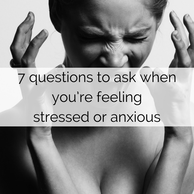 7 Questions To Ask When You’re Feeling Stressed Or Anxious | Shannon Elhart